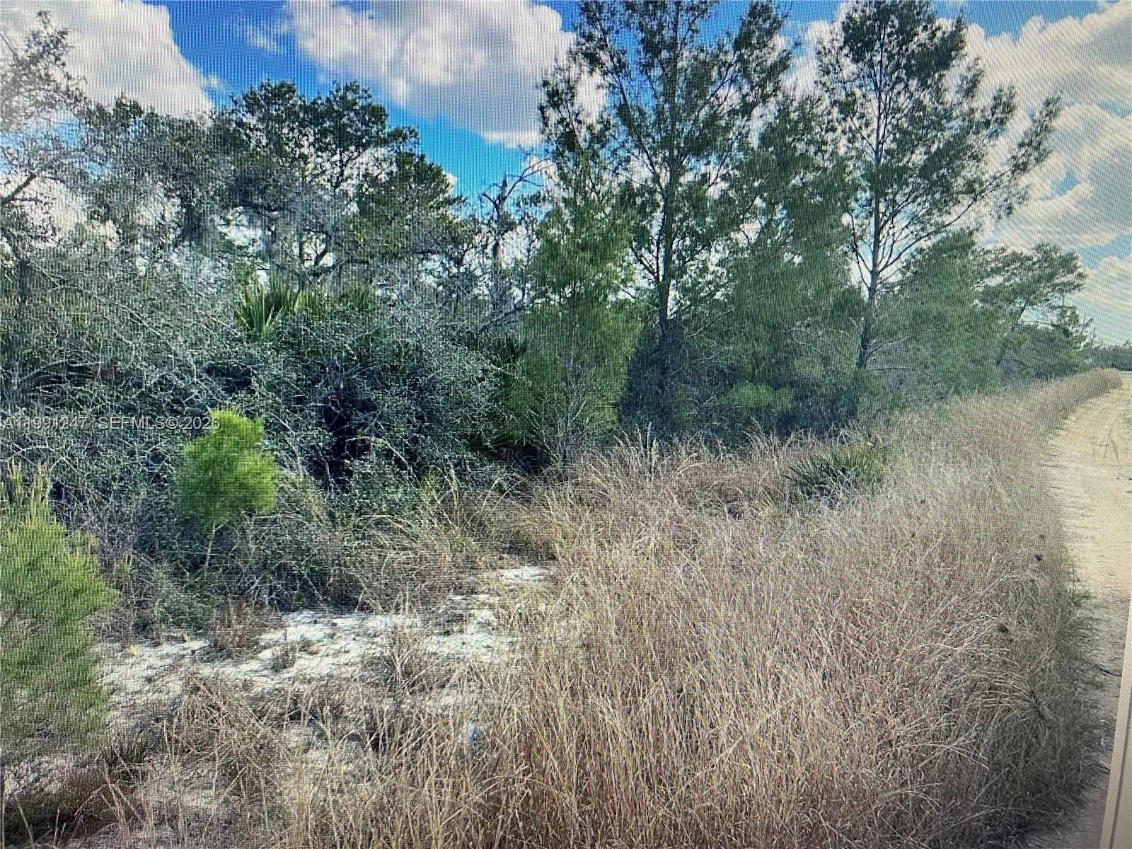 123 DARTMOOR AVE, Lake Placid, FL 33852 photo 3