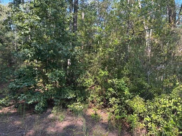 0 SE 8th Avenue, Palatka, FL 32177