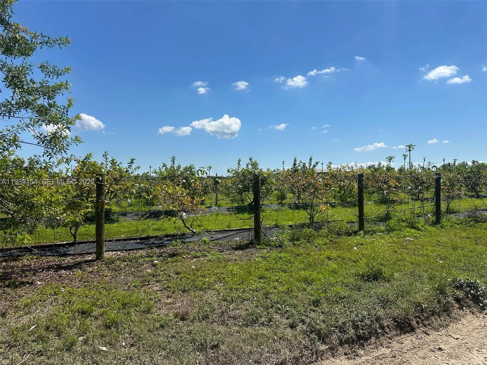212XX SW 360 ST, Homestead, FL 33034 photo 3