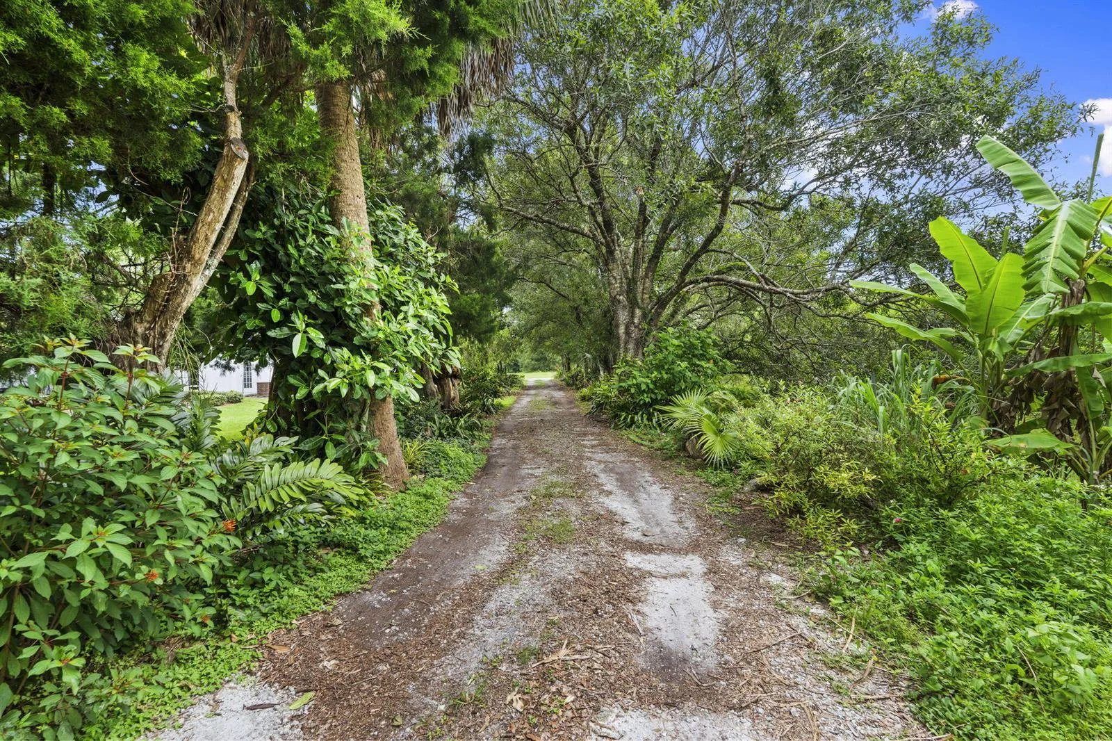 3603 Kirby Loop Road, Fort Pierce, FL 34981 photo 7