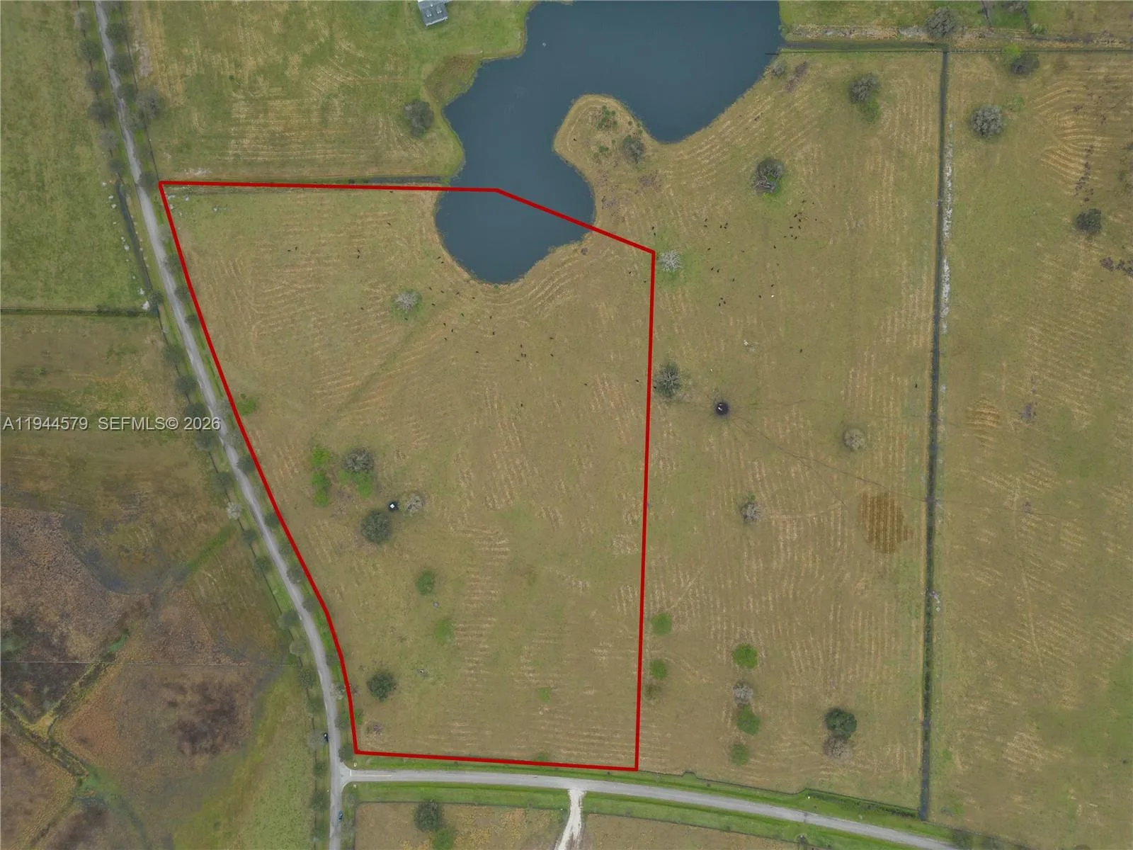 25750 SW Jockeys Run, Okeechobee, FL 34974 photo 5