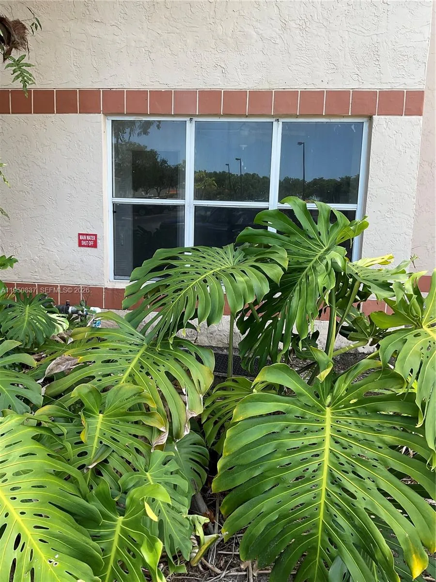 3320 N Pinewalk Dr N # 1715, Margate, FL 33063 photo 5