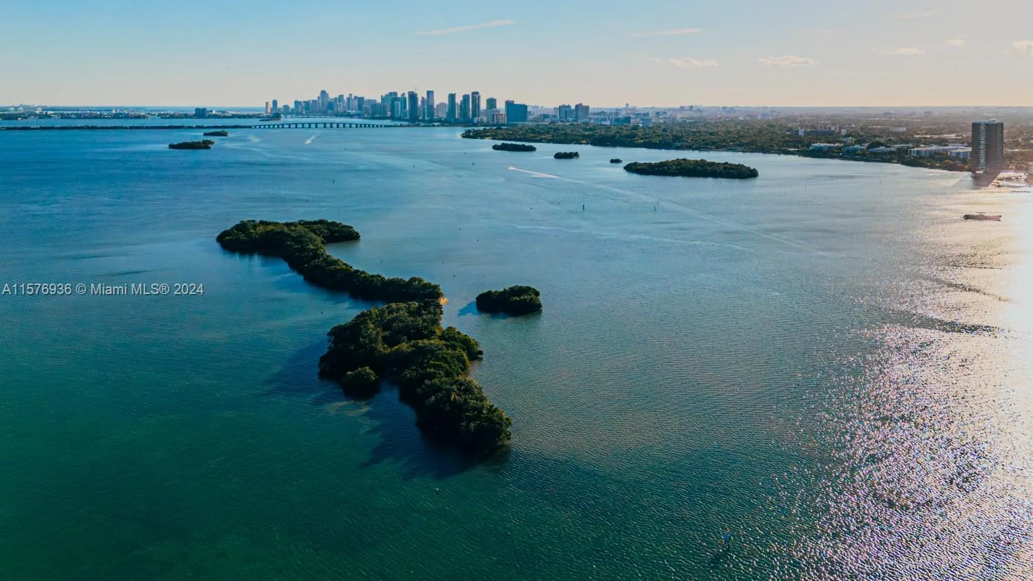 1 BIRD KEY, Miami, FL 33138 photo 2