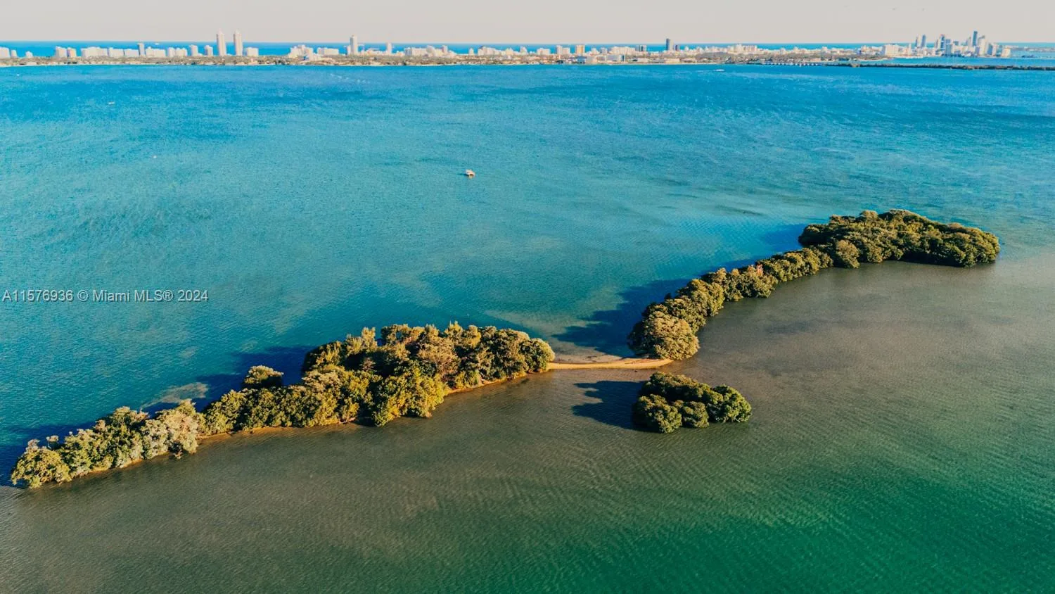 1 BIRD KEY, Miami, FL 33138 photo 3