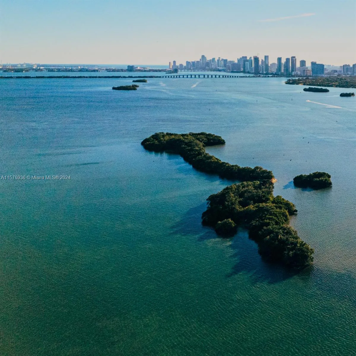 1 BIRD KEY, Miami, FL 33138 photo 5