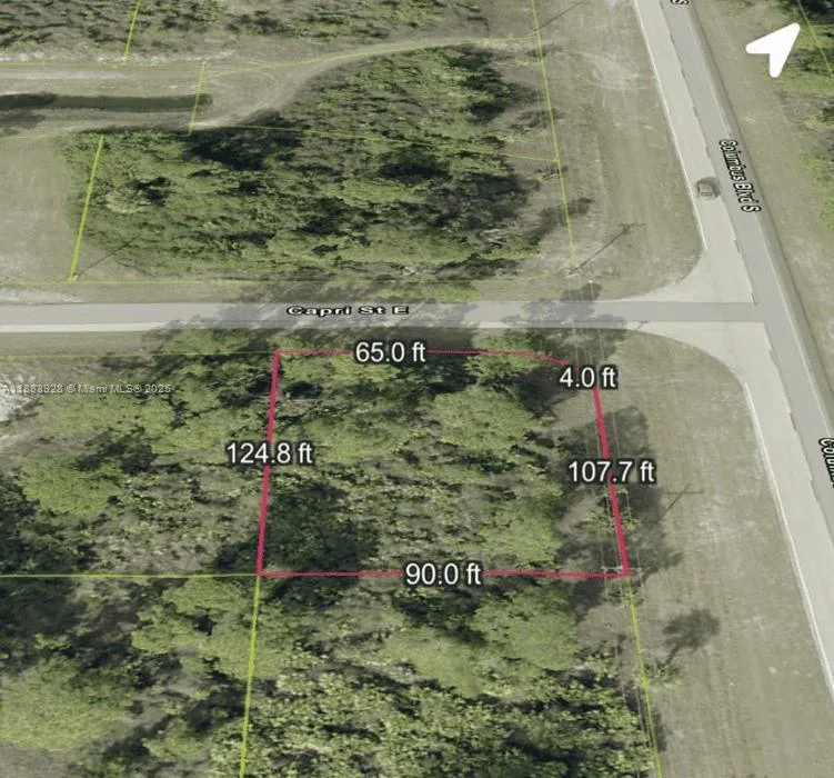 1152 Capri St E, Lehigh Acres, FL 33974 photo 2