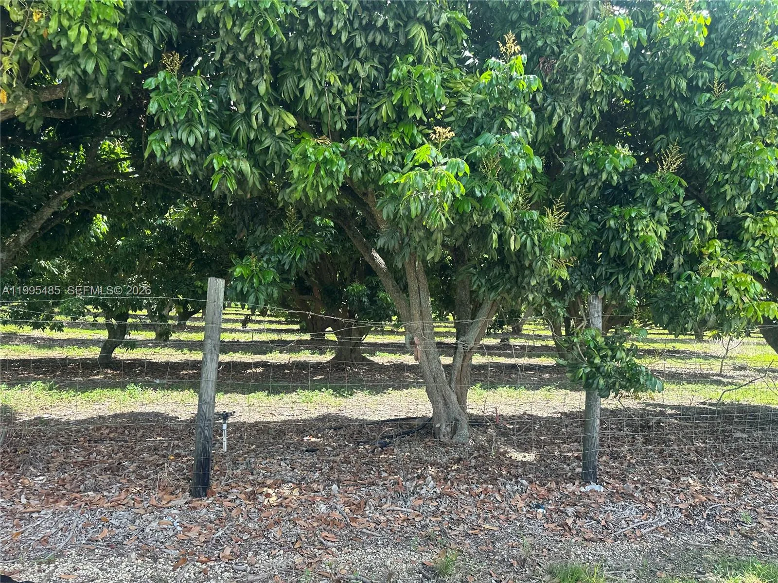 SW 344 St., Homestead FL 33034 photo 11