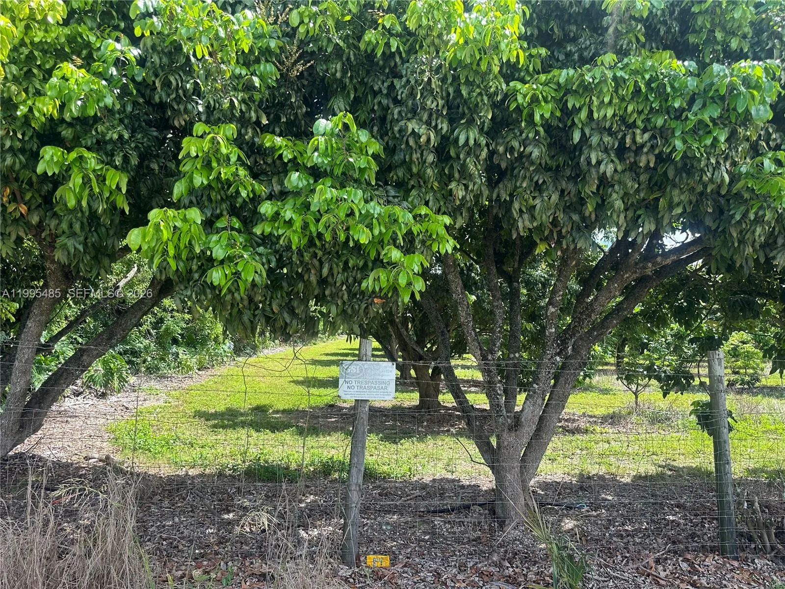 SW 344 St., Homestead FL 33034 photo 12