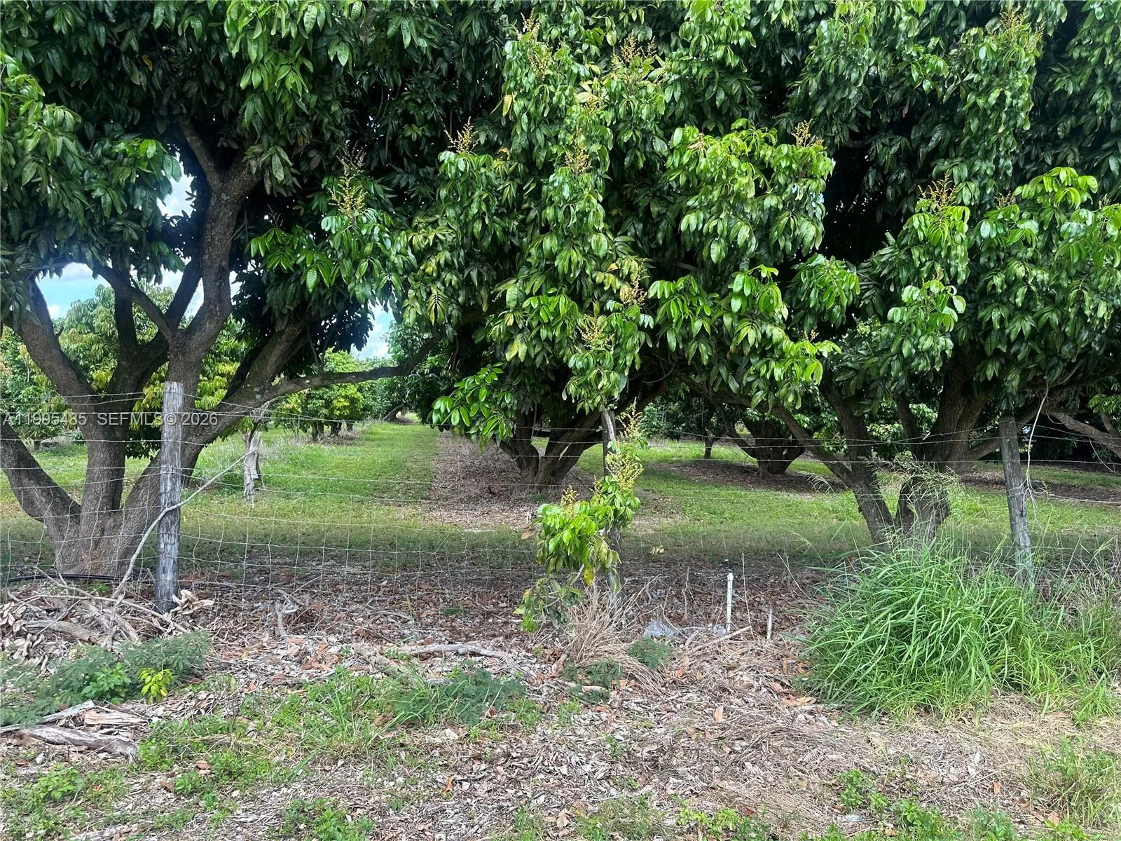 SW 344 St., Homestead FL 33034 photo 4