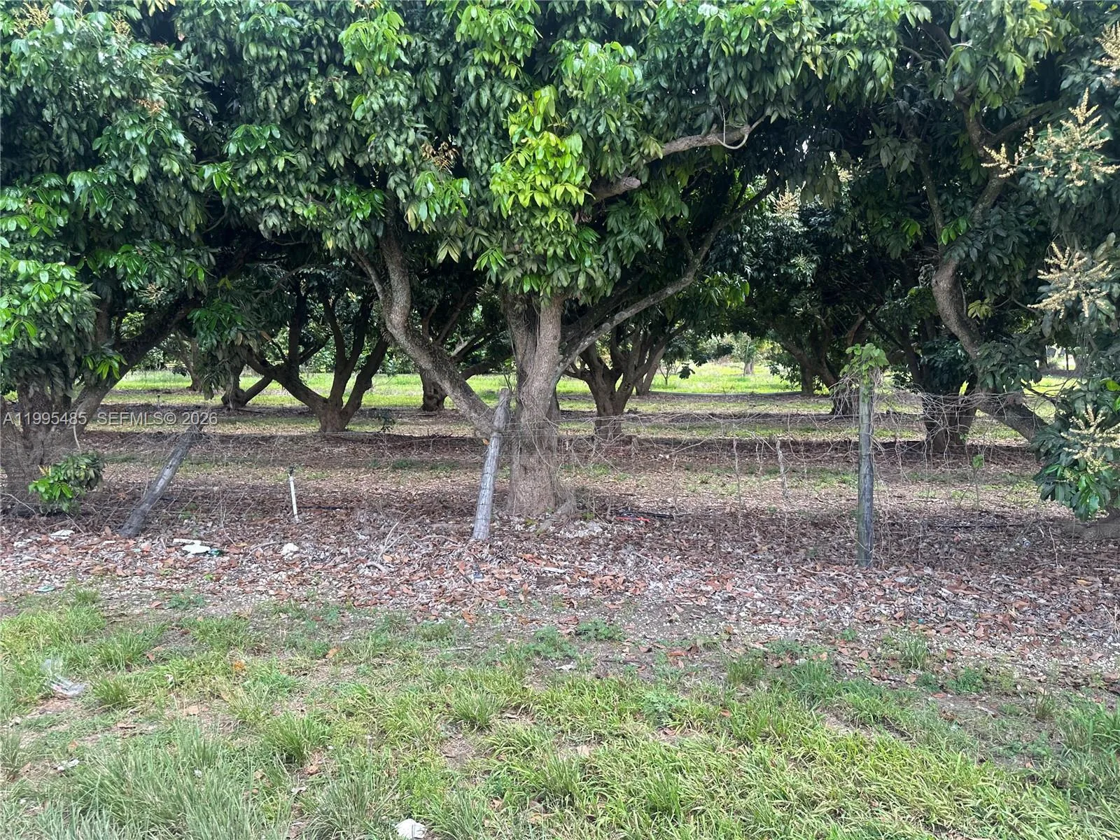 SW 344 St., Homestead FL 33034 photo 7