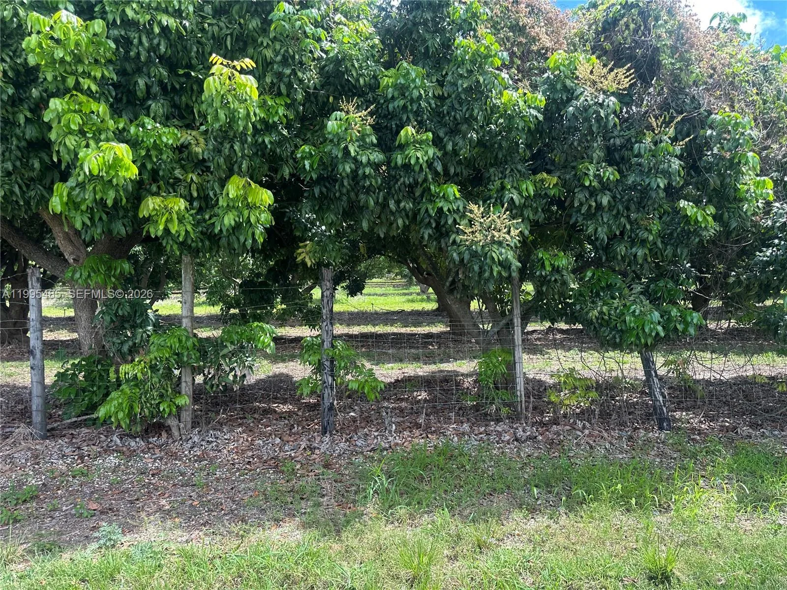 SW 344 St., Homestead FL 33034 photo 8