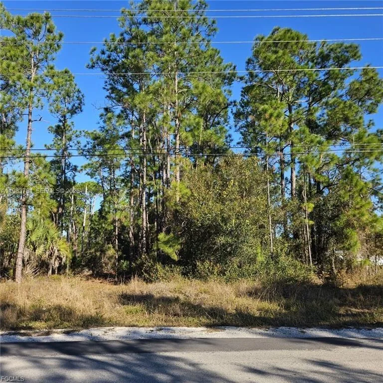 3903 E 10th ST, Lehigh Acres, FL 33972
