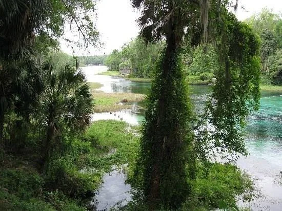 lot1 SW Lot1 158th Court, Ocala, FL 34481 photo 6