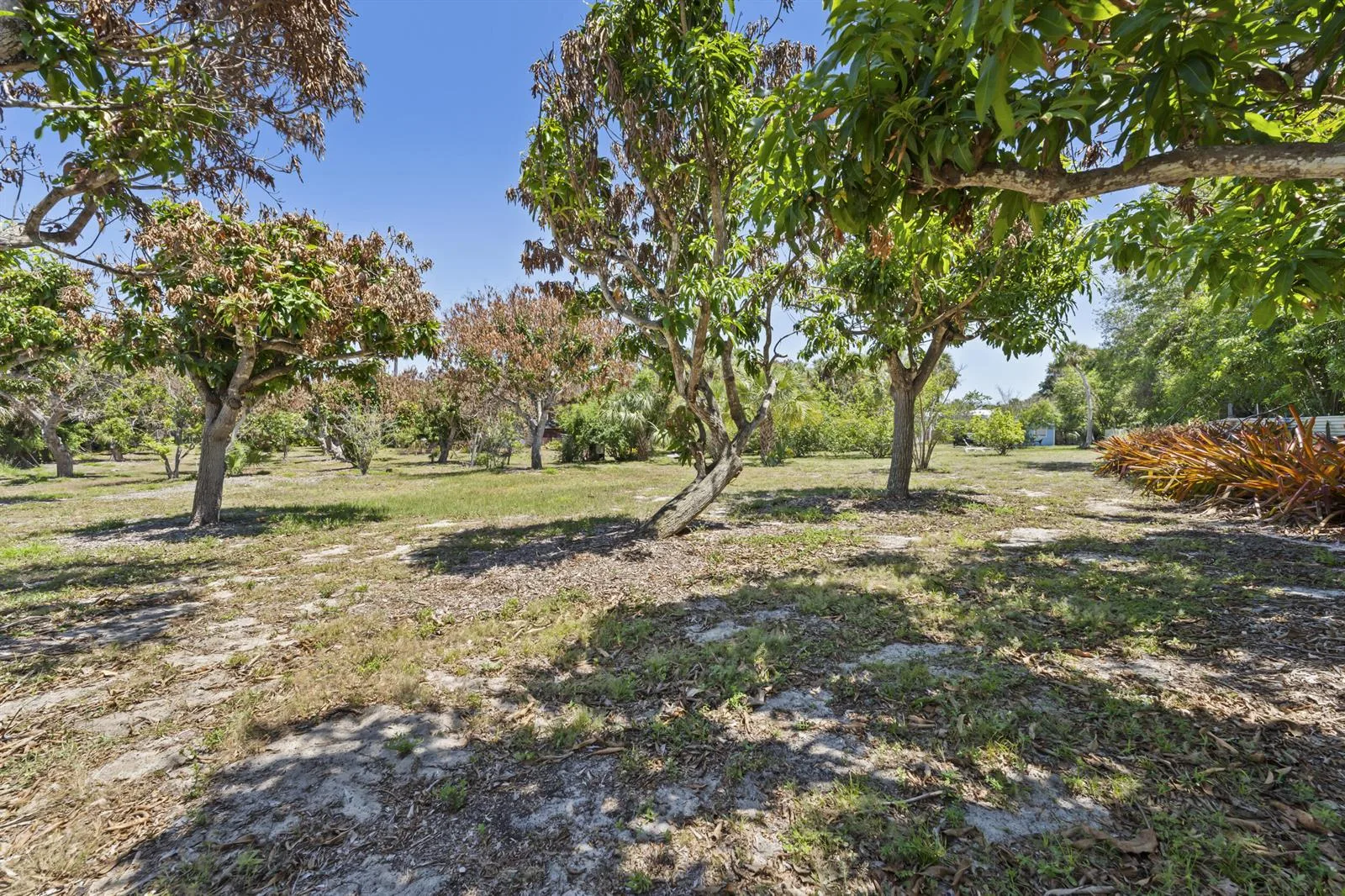 2614 NE Palm Avenue, Jensen Beach, FL 34957 photo 3