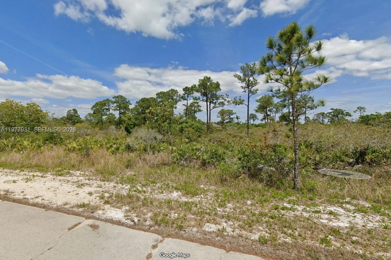 217 Warrior St, Lake Placid, FL 33852 photo 2