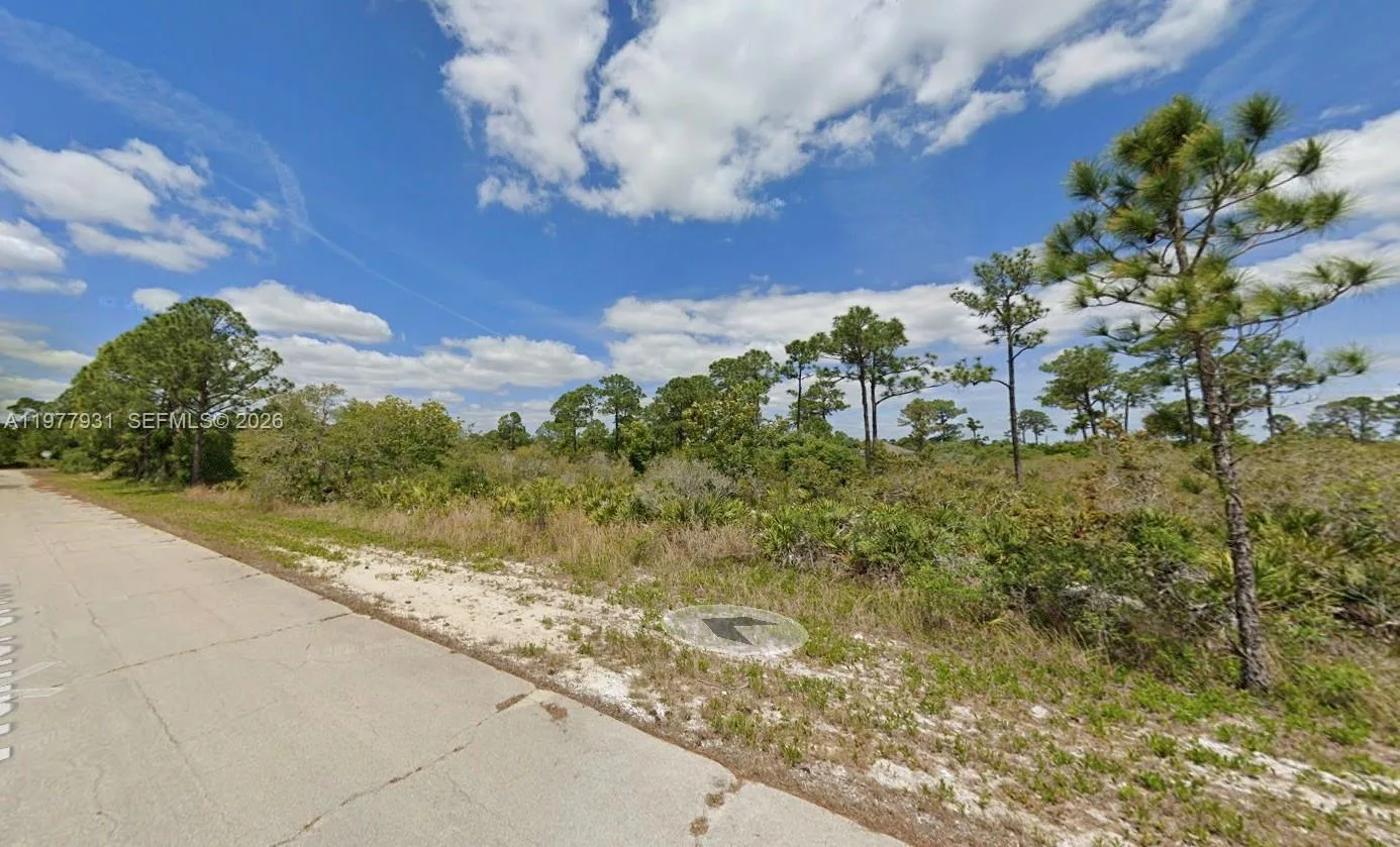 217 Warrior St, Lake Placid, FL 33852 photo 3