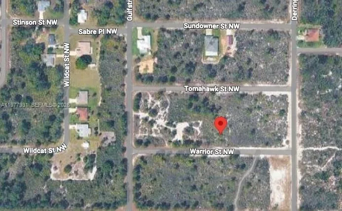 217 Warrior St, Lake Placid, FL 33852 photo 4