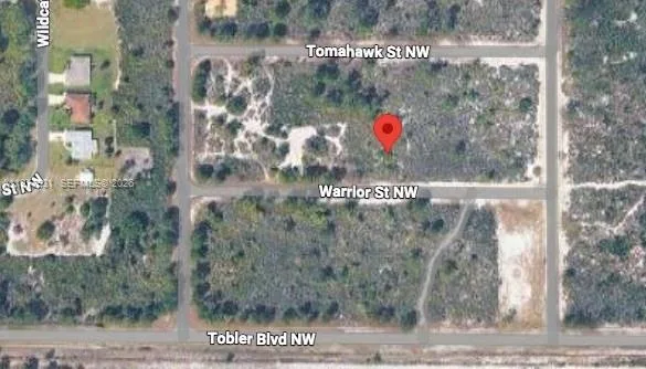 217 Warrior St, Lake Placid, FL 33852 photo 5
