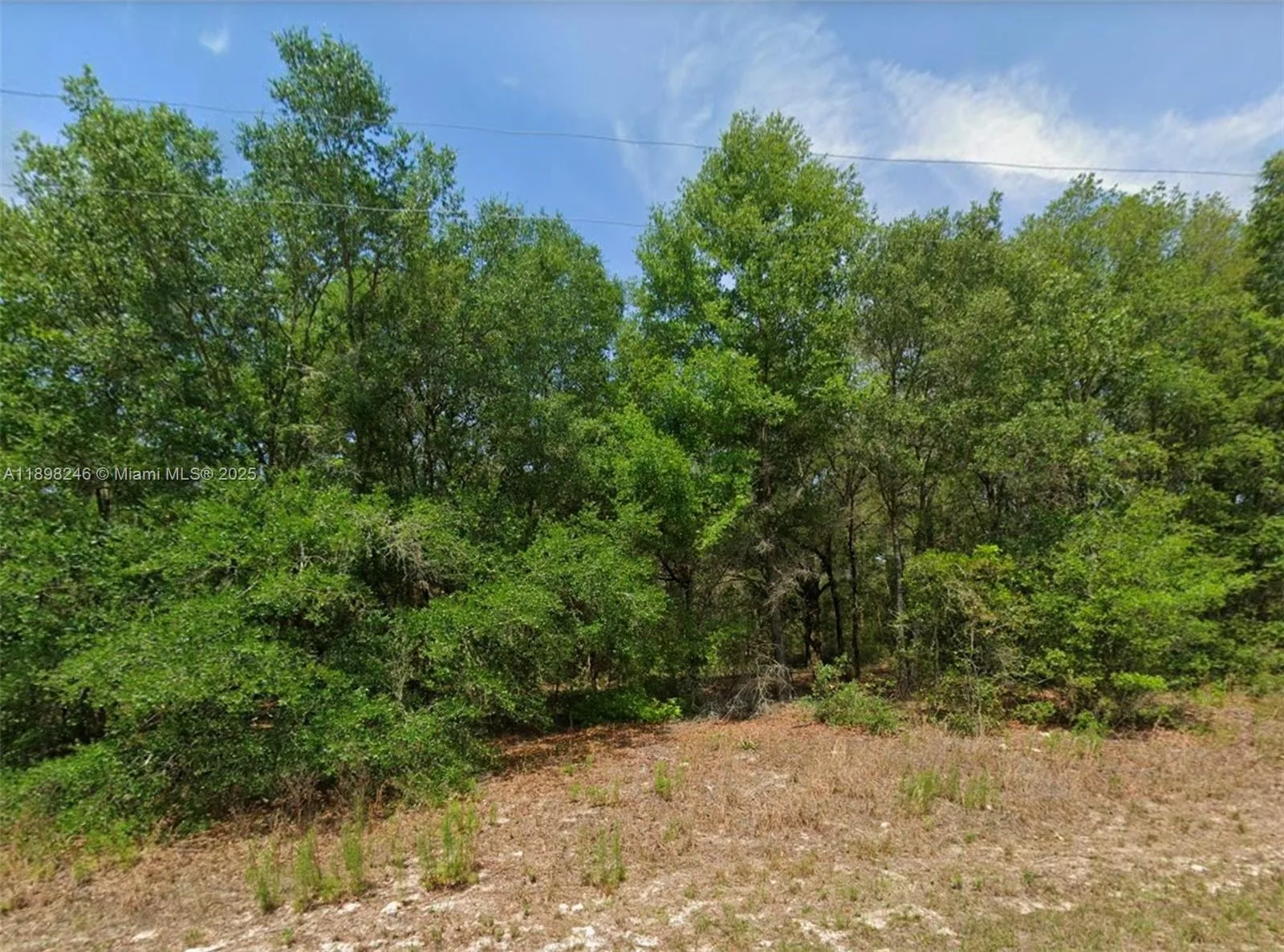 11451 N clare, Citrus Springs, FL 34434