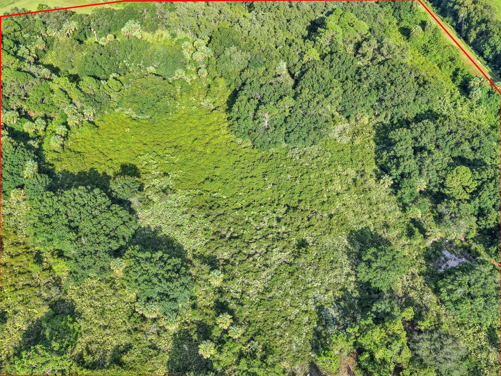100 NW 38th Avenue, Okeechobee, FL 34972 photo 10