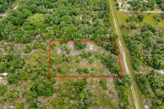 20378 NW 296th Street, Okeechobee, FL 34972 photo 4