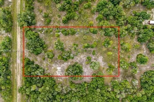 20378 NW 296th Street, Okeechobee, FL 34972 photo 6
