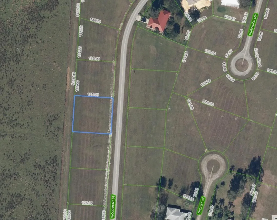 816 Woodmont Street, Sebring, FL 33876