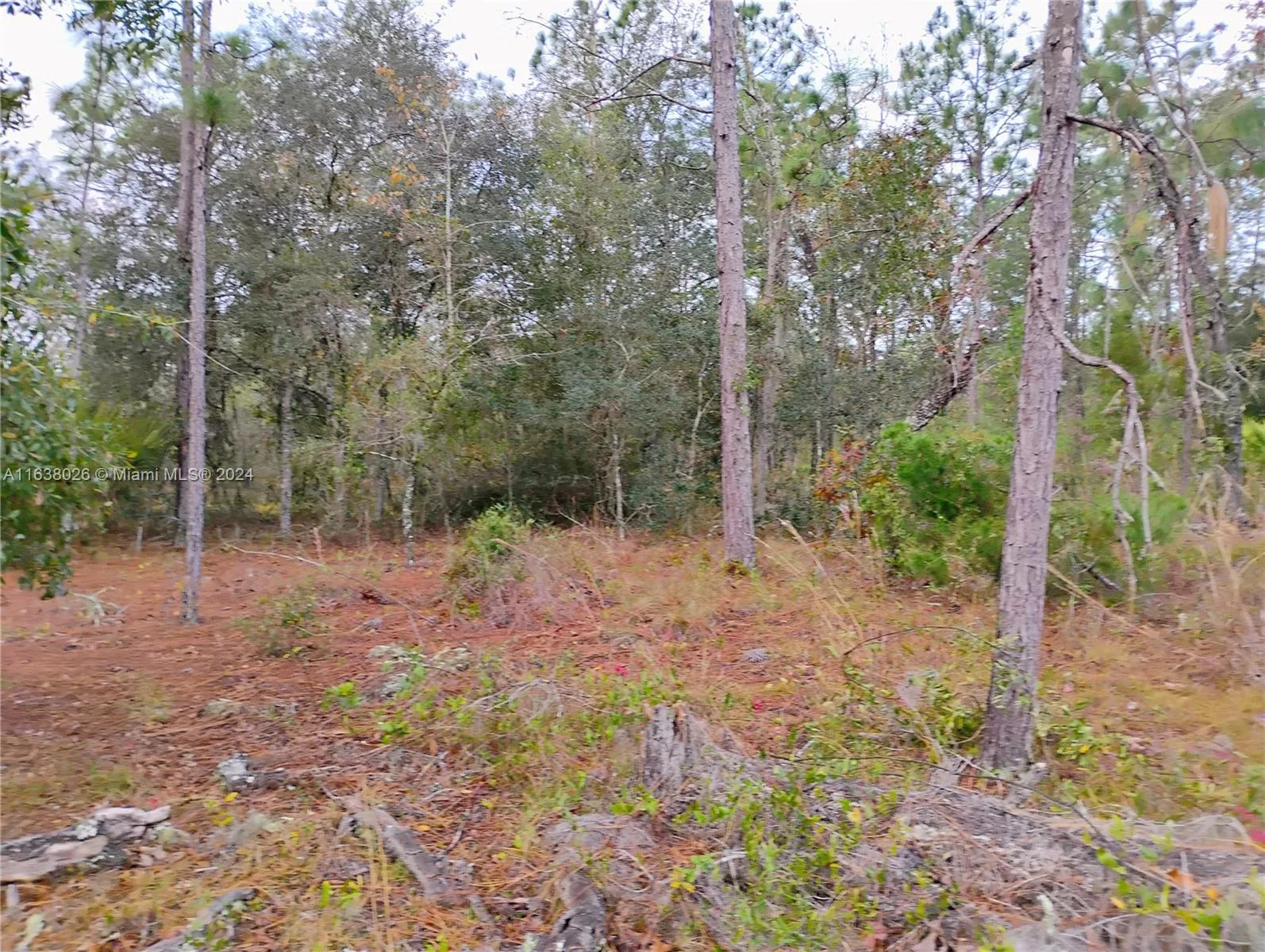 107 rome, Palatka, FL 32148 photo 3