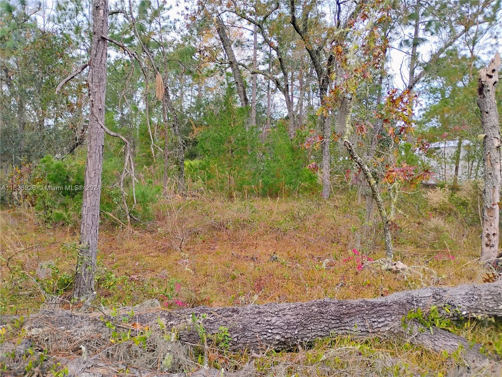 107 rome, Palatka, FL 32148 photo 4