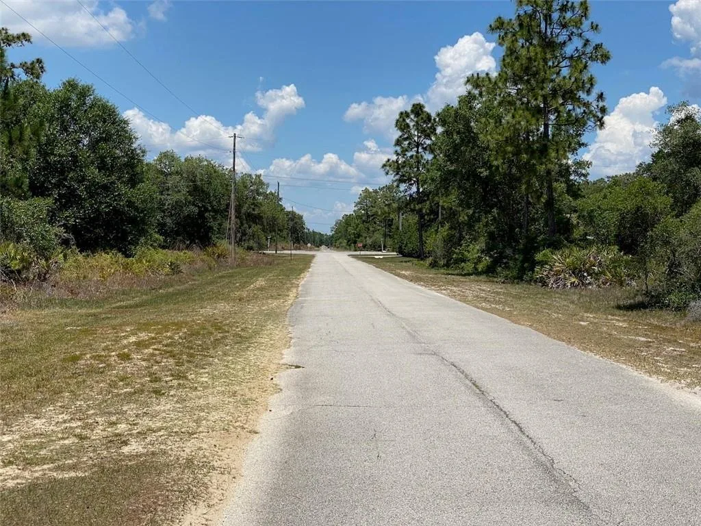 Lot 24 Indian Lake Drive, FL 33855 photo 10