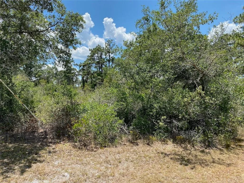 Lot 24 Indian Lake Drive, FL 33855 photo 6