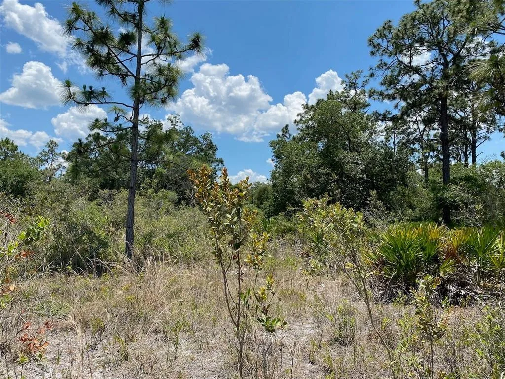 Lot 24 Indian Lake Drive, FL 33855 photo 8