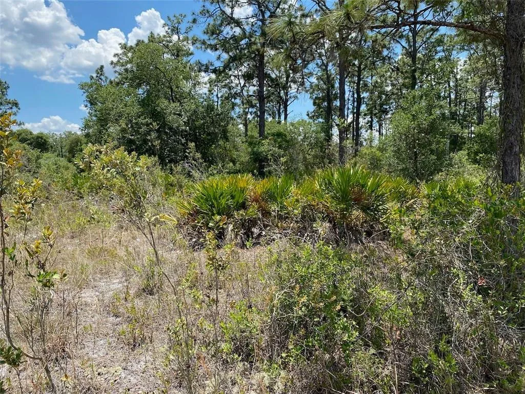 Lot 24 Indian Lake Drive, FL 33855 photo 9