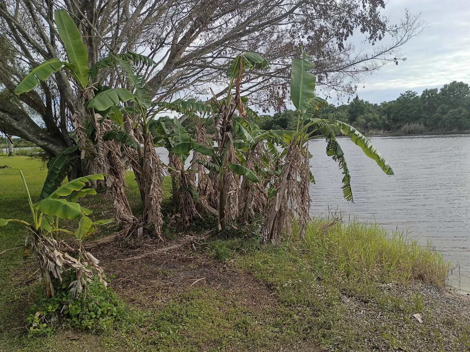 20020 NW 80TH Drive, Okeechobee, FL 34972 — zdjęcie 3