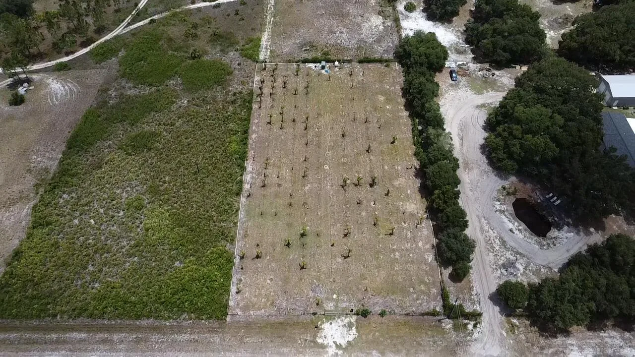 18282 NW 306th Street, Okeechobee, FL 34972 photo 2