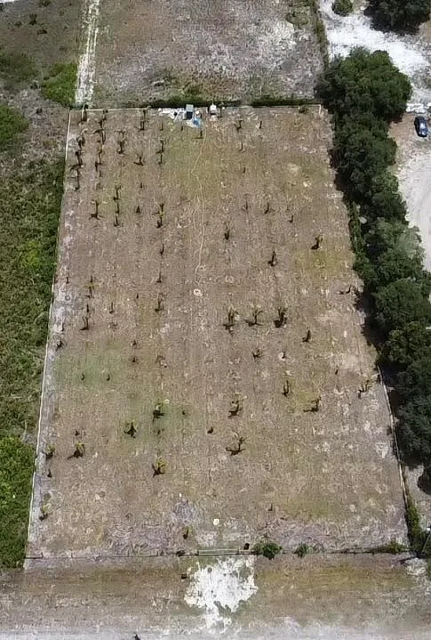 18282 NW 306th Street, Okeechobee, FL 34972 photo 3