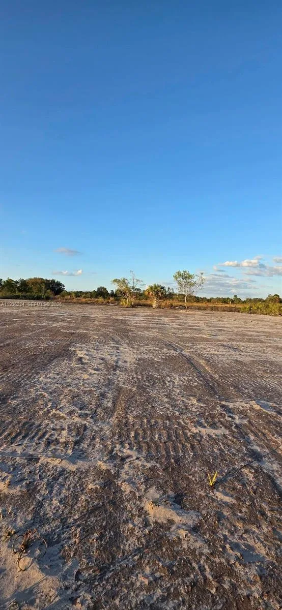 17385 NW 314 st, Okeechobee, FL 34972 photo 8