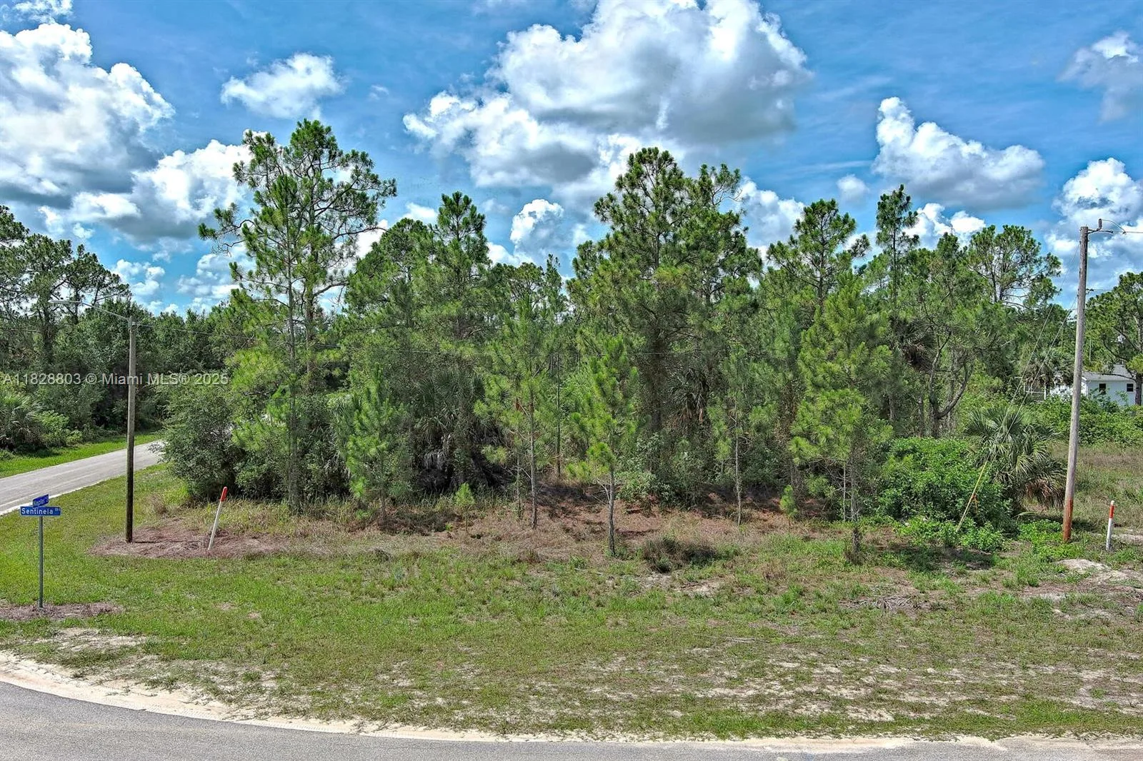 1246 SENTINELA BLVD, Lehigh Acres, FL 33974