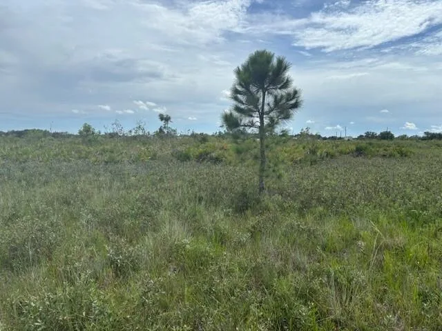 0 NW 308th Street, Okeechobee, FL 34972