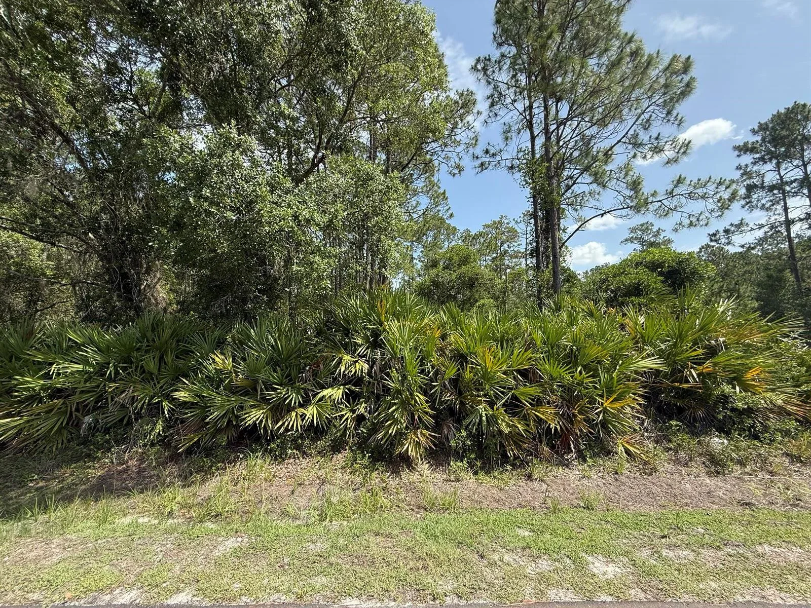 174 Millican Road, Palatka, FL 32177 photo 4