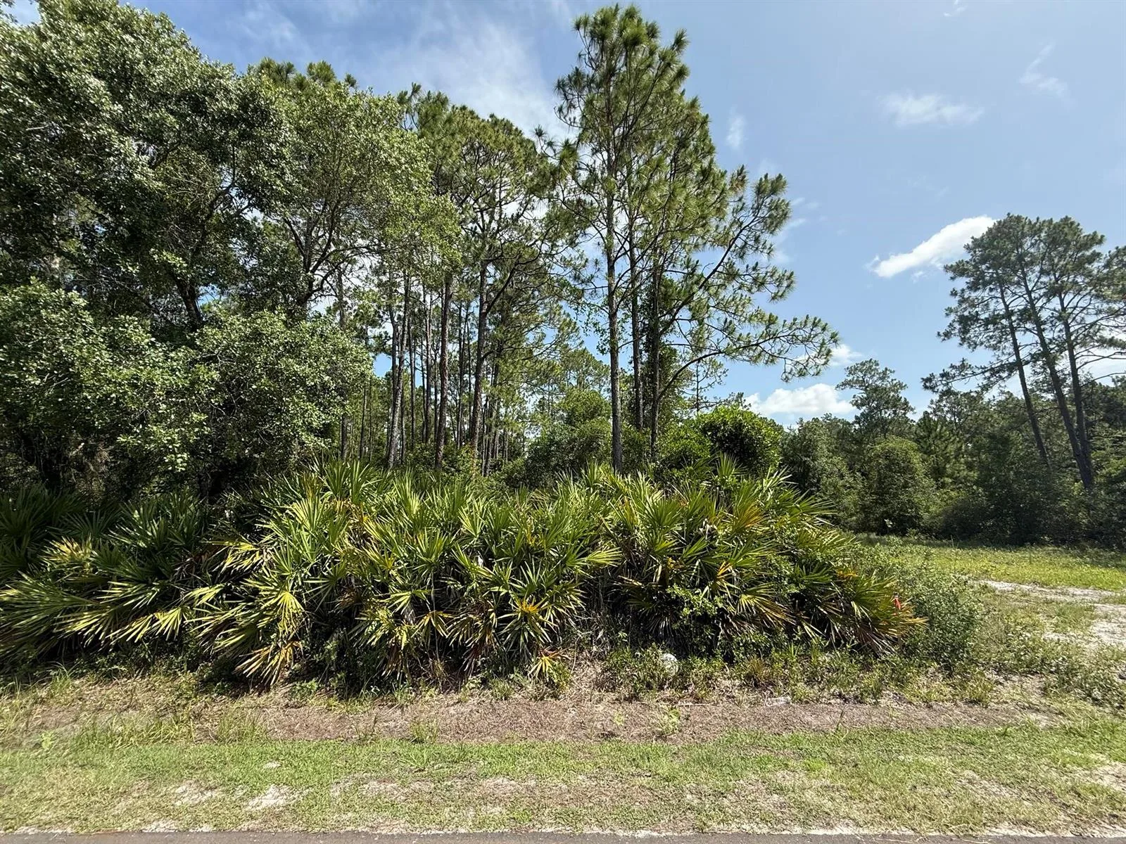 174 Millican Road, Palatka, FL 32177 photo 5