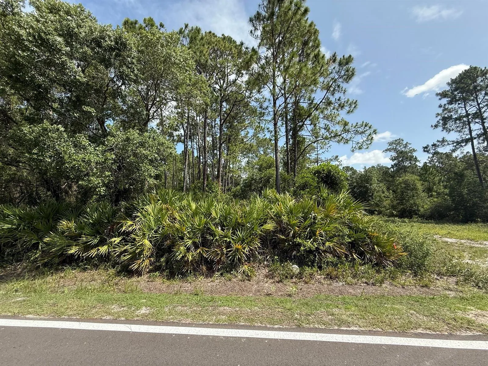 174 Millican Road, Palatka, FL 32177 photo 6