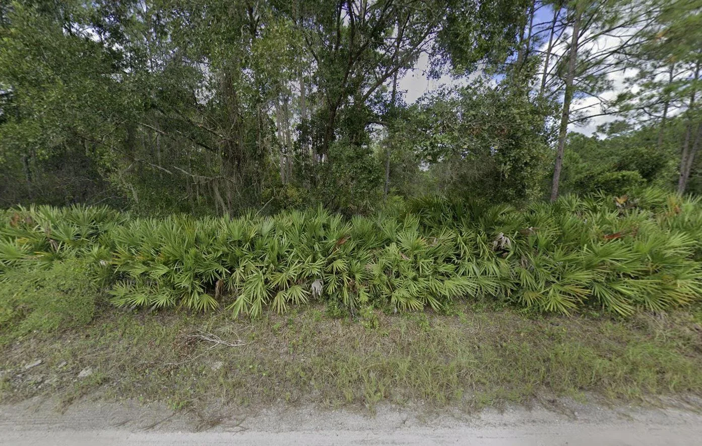 174 Millican Road, Palatka, FL 32177 photo 8