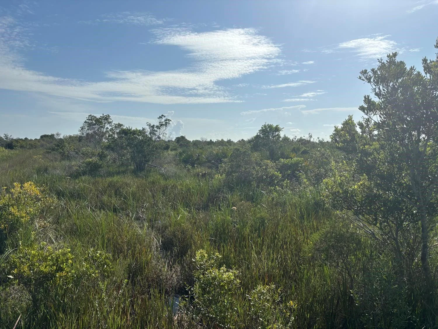 0 NW 318th Street, Okeechobee, FL 34972