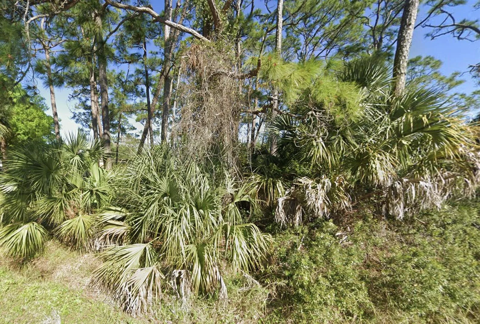 17301 Brynwood Lane, Okeechobee, FL 34974