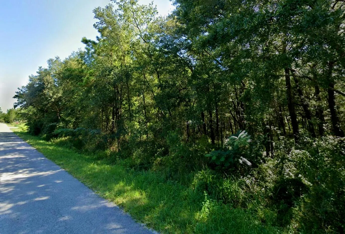 Lot 29 NW 112th Avenue, Ocala, FL 34482 photo 2