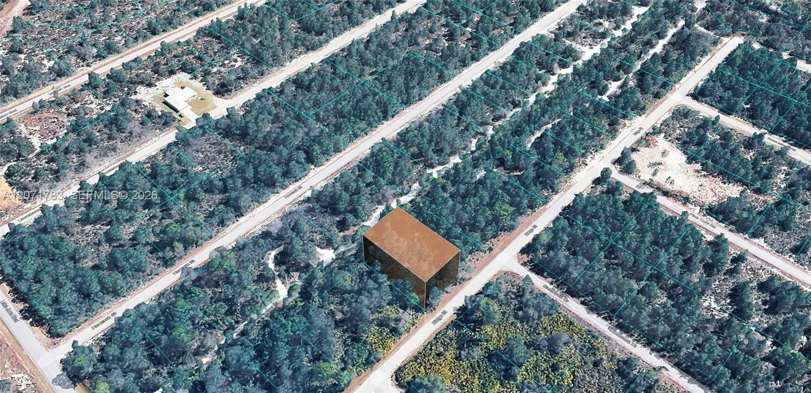 955 RIDGE ST, Lake Placid, FL 33852