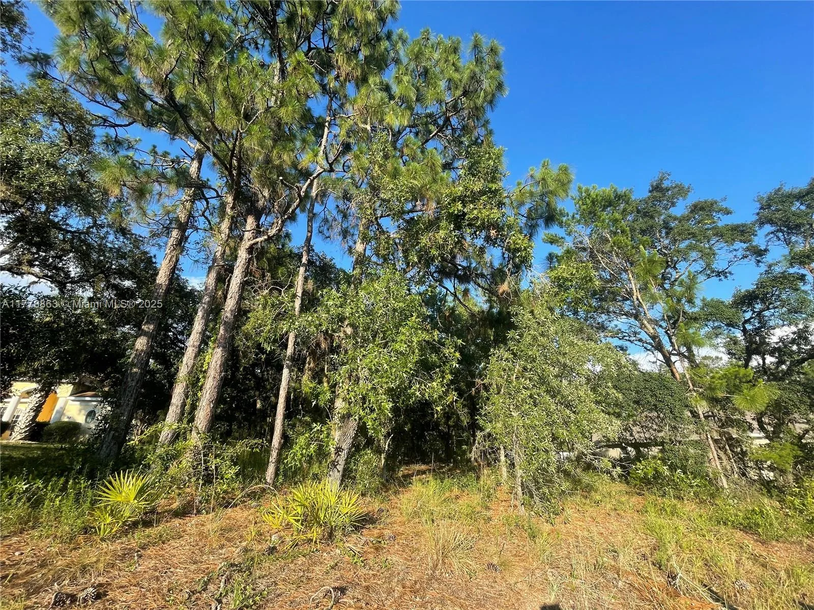 108 cypress blvd E, Homosassa Springs, FL 34446