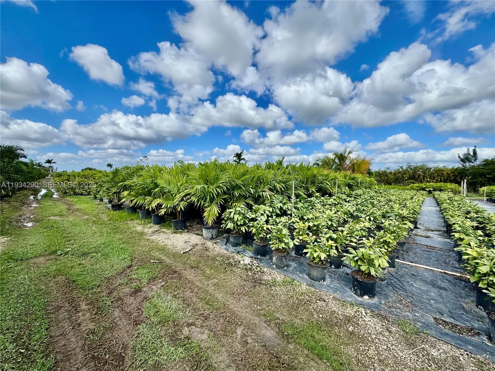 32800 SW 202nd Ave, Homestead, FL 33034 photo 7