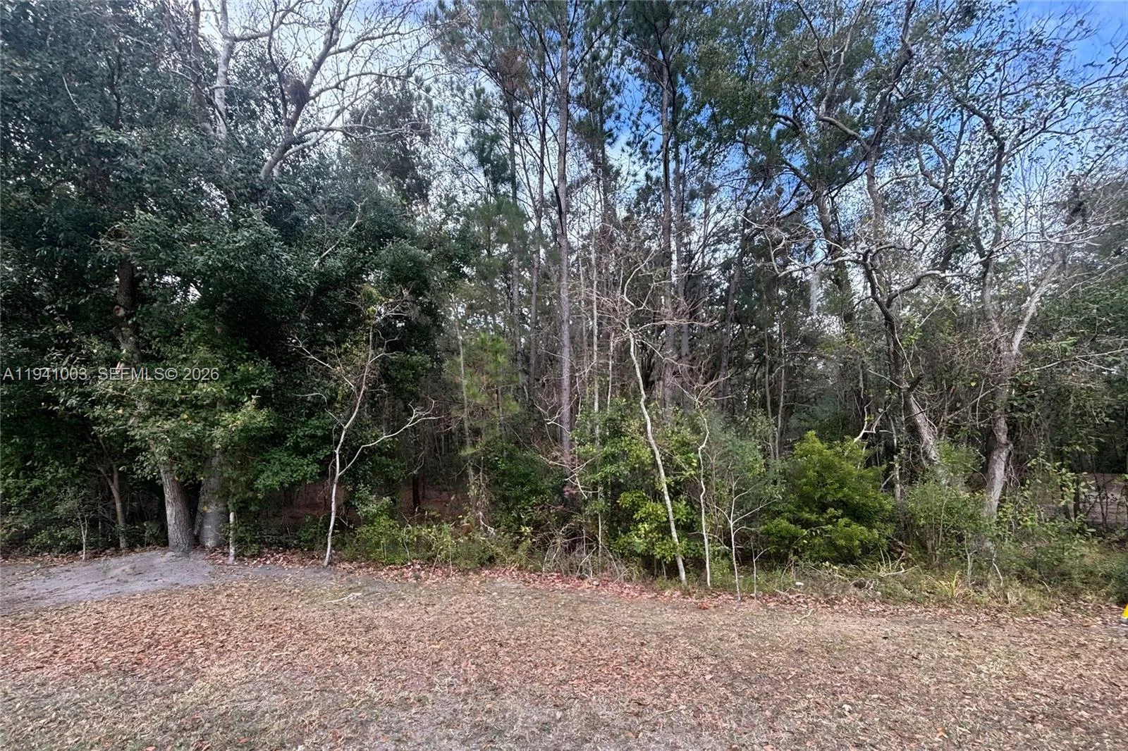 0 Landward, Other City - In The State Of Florida, FL 32068 photo 2